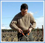 Olivier Cuilleras au travail. Cette image ne peut &ecirc;tre agrandie